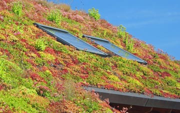 Kirkgunzeon living roof systems